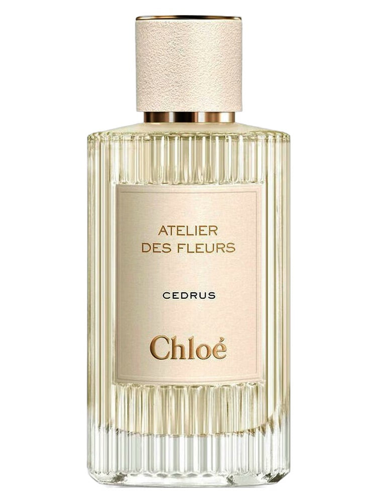 Cedrus Chloé 100ml